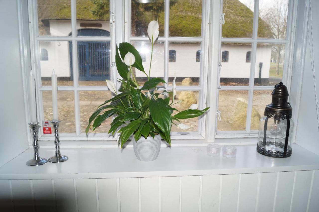 Eleonoras Bed & Breakfast Esbjerg Exterior photo